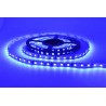 Светодиодная лента Verso FLT 1B (голубой) SMD 3528 60leds/m IP33