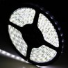 Светодиодная лента Verso FLT 8DW (холодный белый) SMD 3528 60leds/m IP66